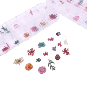 Decoracion Para Uñas Naturaleza Muerta