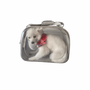 Maleta Para Mascotas 42x30x22 Cm X und SKU BB-F243321