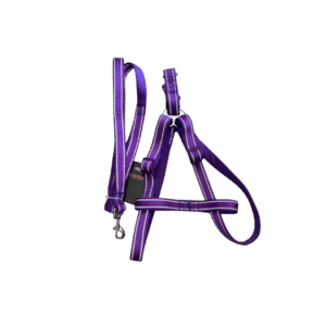 Collar Para Mascotas 2m X und SKU BB-F243257