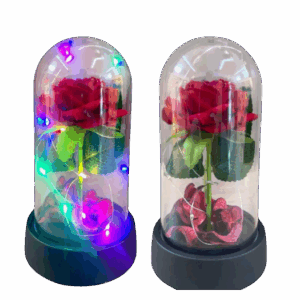 Rosa Eterna Tupida 15X8cm X und SKU BB-F242583