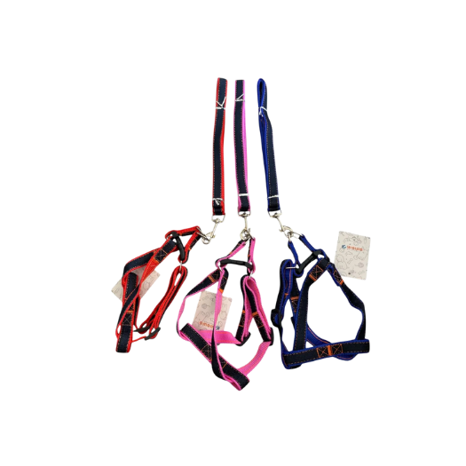 Collar Para Mascotas 2M X und SKU BB-F243039 - Imagen 2